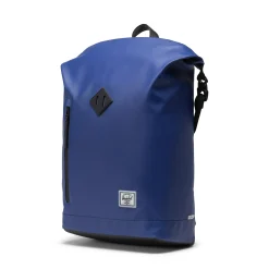 Roll Top Backpack Weather Resistant